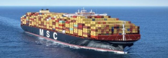 MSC Reroutes Ships Passing Sri Lanka to Protect Blue Whales
